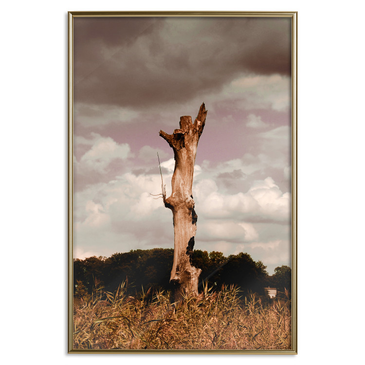 Wall Poster Memory of the Sky - old tree trunk surrounded by meadow against sky 124388 additionalImage 16