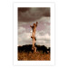 Wall Poster Memory of the Sky - old tree trunk surrounded by meadow against sky 124388 additionalThumb 19