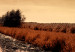 Poster In the Depths of Clouds - field and water path landscape against sky and clouds 124488 additionalThumb 11