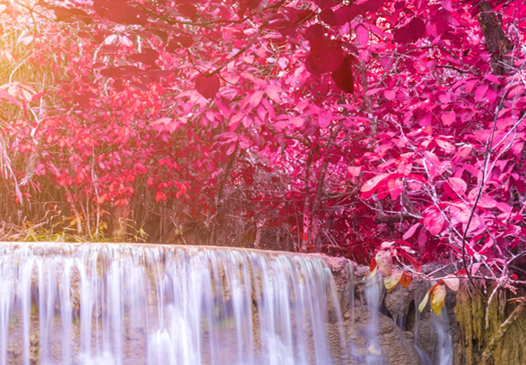 Large canvas print Pink Trees and Waterfall II [Large Format] 125588 additionalImage 4