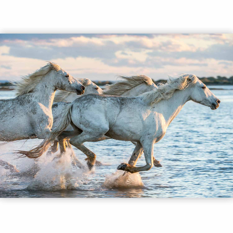 Wall Mural Race - white horses galloping on water against a calm sky 126188 additionalImage 1