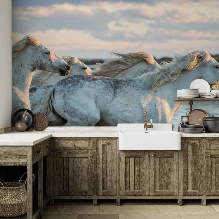Wall Mural Race - white horses galloping on water against a calm sky 126188 additionalImage 6
