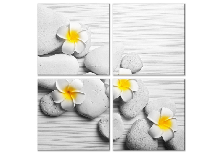Canvas Print SPA Stones (4-part) - white flowers on stones in Zen motif 128788