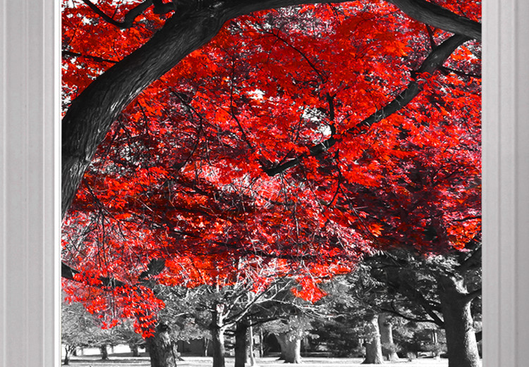 Large canvas print Red Maple [Large Format] 128888 additionalImage 4
