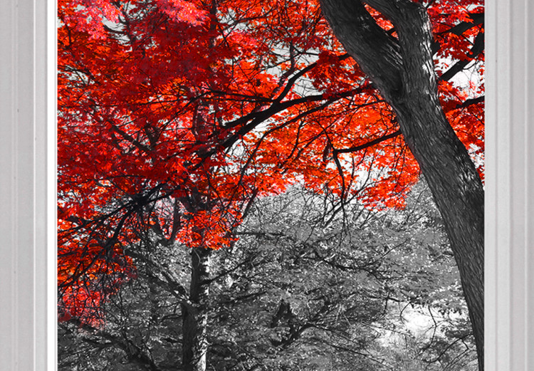 Large canvas print Red Maple [Large Format] 128888 additionalImage 5