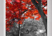 Large canvas print Red Maple [Large Format] 128888 additionalThumb 5