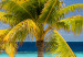 Canvas Print Paradise Maldives (1-part) wide - tropical island landscape 128988 additionalThumb 4