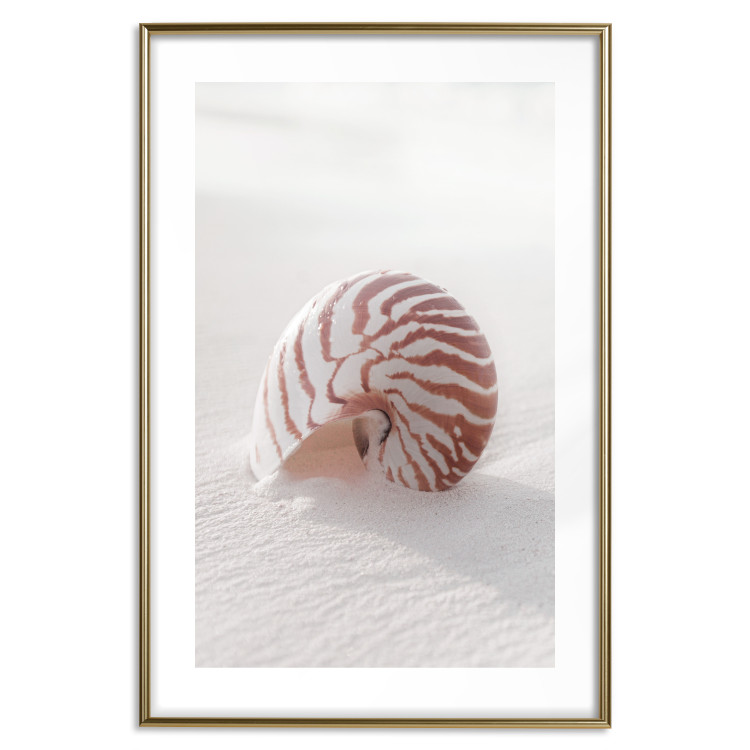 Wall Poster August Shell - maritime composition with a seashell on the sand 129488 additionalImage 14