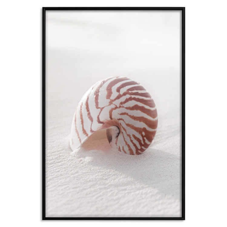 Wall Poster August Shell - maritime composition with a seashell on the sand 129488 additionalImage 16