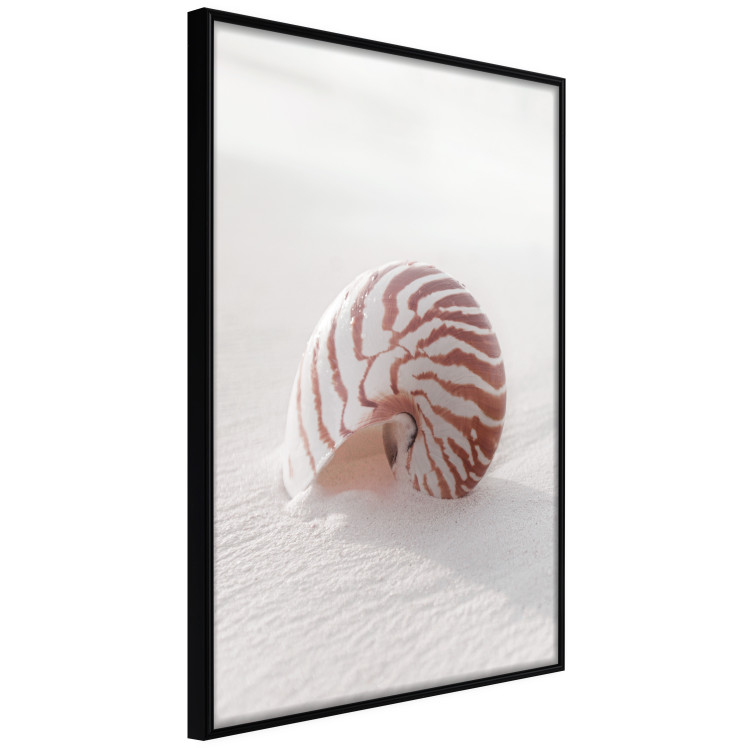 Wall Poster August Shell - maritime composition with a seashell on the sand 129488 additionalImage 11