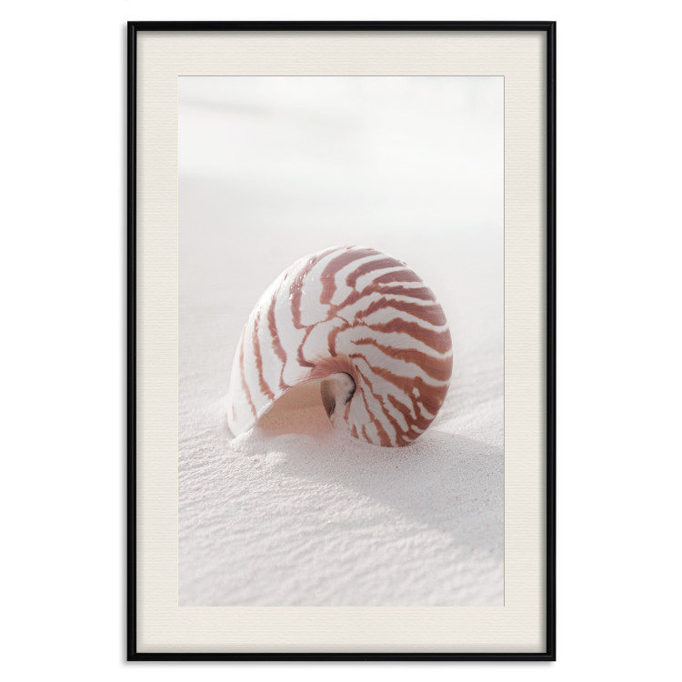 Wall Poster August Shell - maritime composition with a seashell on the sand 129488 additionalImage 19