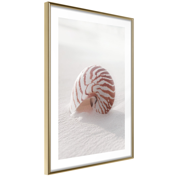 Wall Poster August Shell - maritime composition with a seashell on the sand 129488 additionalImage 7