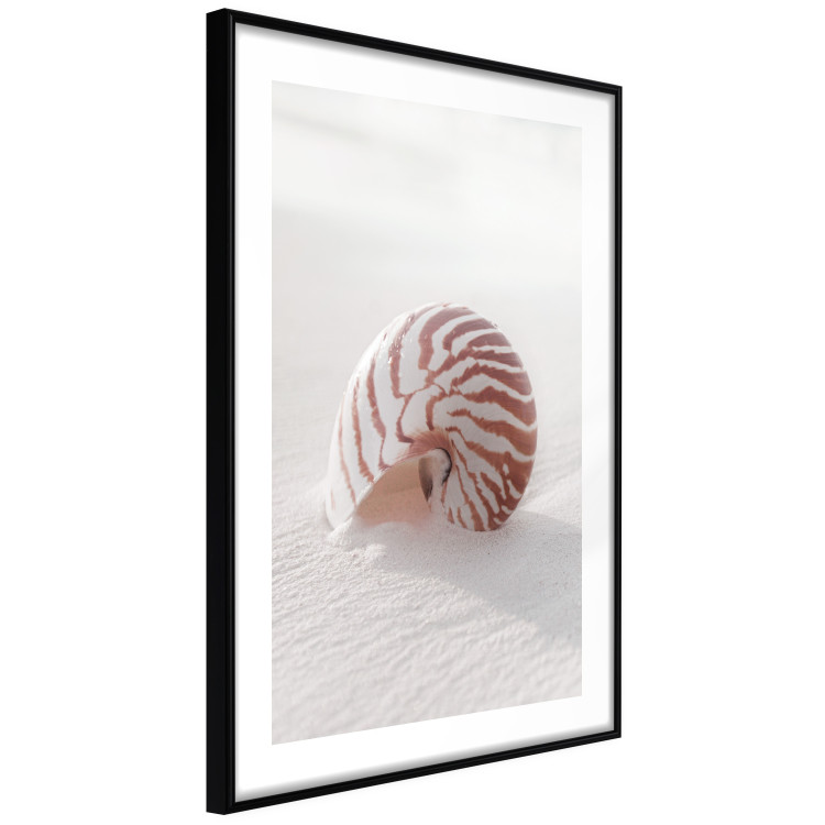 Wall Poster August Shell - maritime composition with a seashell on the sand 129488 additionalImage 8
