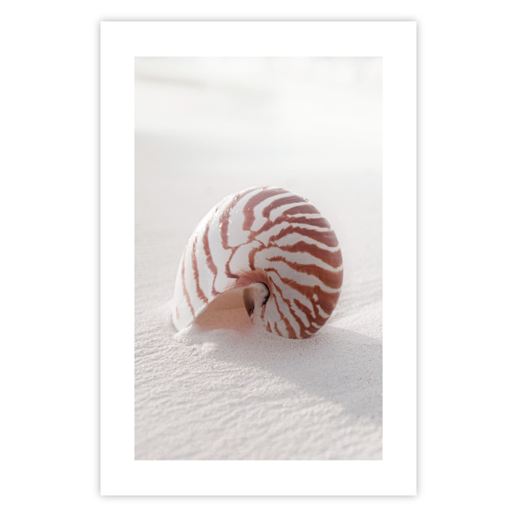 Wall Poster August Shell - maritime composition with a seashell on the sand 129488 additionalImage 25