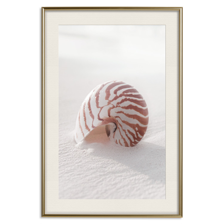Wall Poster August Shell - maritime composition with a seashell on the sand 129488 additionalImage 20