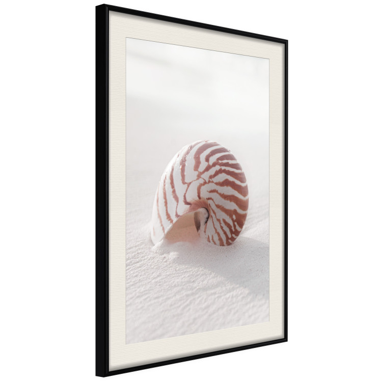 Wall Poster August Shell - maritime composition with a seashell on the sand 129488 additionalImage 2