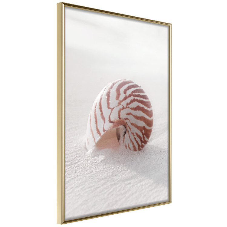 Wall Poster August Shell - maritime composition with a seashell on the sand 129488 additionalImage 14