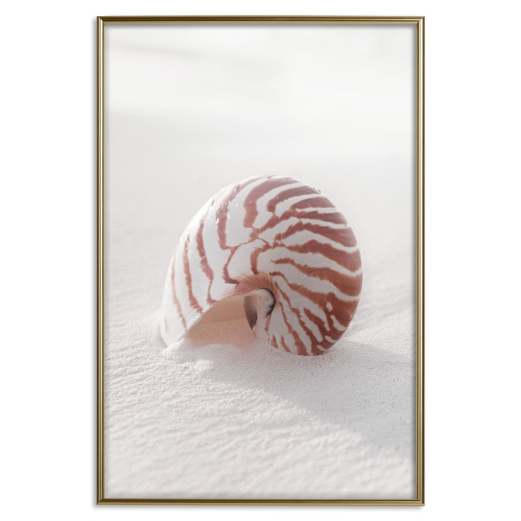 Wall Poster August Shell - maritime composition with a seashell on the sand 129488 additionalImage 17