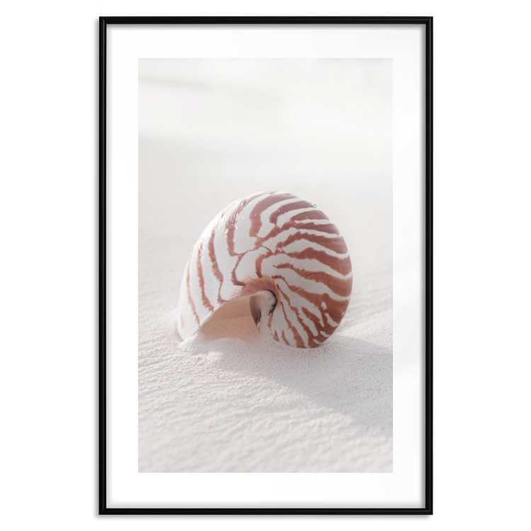 Wall Poster August Shell - maritime composition with a seashell on the sand 129488 additionalImage 17