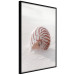 Wall Poster August Shell - maritime composition with a seashell on the sand 129488 additionalThumb 11