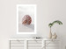Wall Poster August Shell - maritime composition with a seashell on the sand 129488 additionalThumb 3