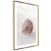 Wall Poster August Shell - maritime composition with a seashell on the sand 129488 additionalThumb 9