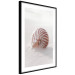 Wall Poster August Shell - maritime composition with a seashell on the sand 129488 additionalThumb 8