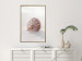 Wall Poster August Shell - maritime composition with a seashell on the sand 129488 additionalThumb 5