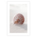 Wall Poster August Shell - maritime composition with a seashell on the sand 129488 additionalThumb 25