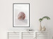 Wall Poster August Shell - maritime composition with a seashell on the sand 129488 additionalThumb 23