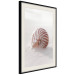 Wall Poster August Shell - maritime composition with a seashell on the sand 129488 additionalThumb 2