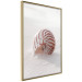 Wall Poster August Shell - maritime composition with a seashell on the sand 129488 additionalThumb 14