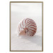 Wall Poster August Shell - maritime composition with a seashell on the sand 129488 additionalThumb 17