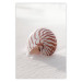 Wall Poster August Shell - maritime composition with a seashell on the sand 129488