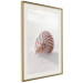 Wall Poster August Shell - maritime composition with a seashell on the sand 129488 additionalThumb 3