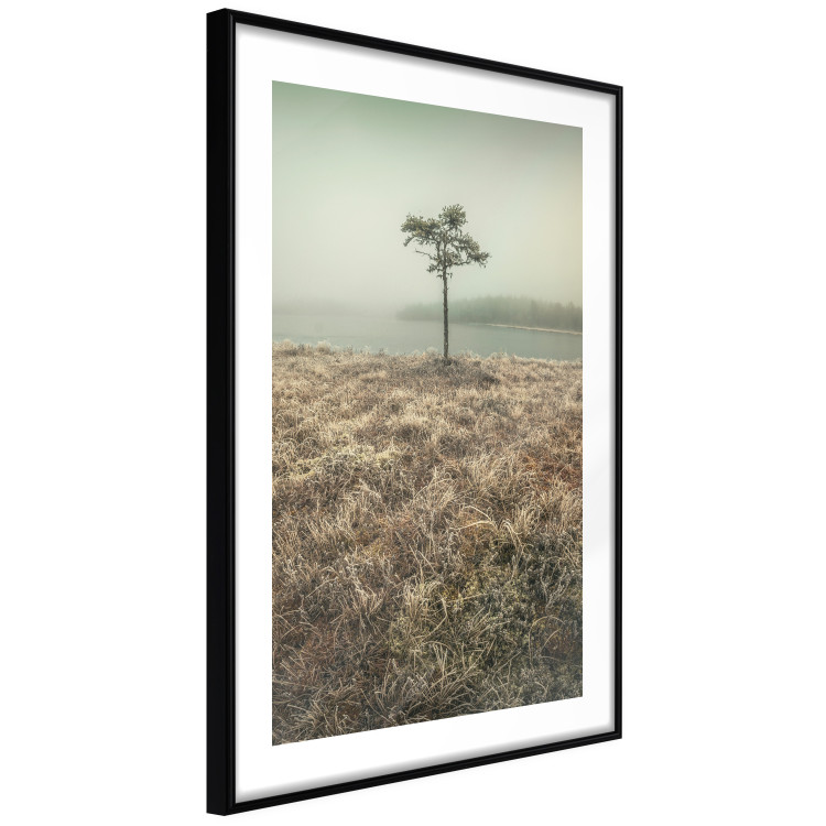 Poster Along the Lake Shore - landscape of grass and a small tree against the water 130388 additionalImage 6