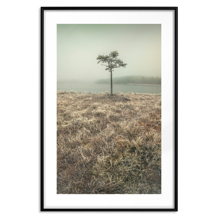 Poster Along the Lake Shore - landscape of grass and a small tree against the water 130388 additionalImage 15