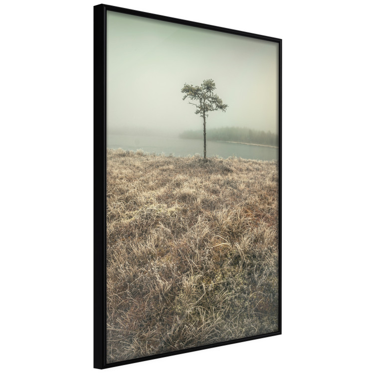 Poster Along the Lake Shore - landscape of grass and a small tree against the water 130388 additionalImage 11