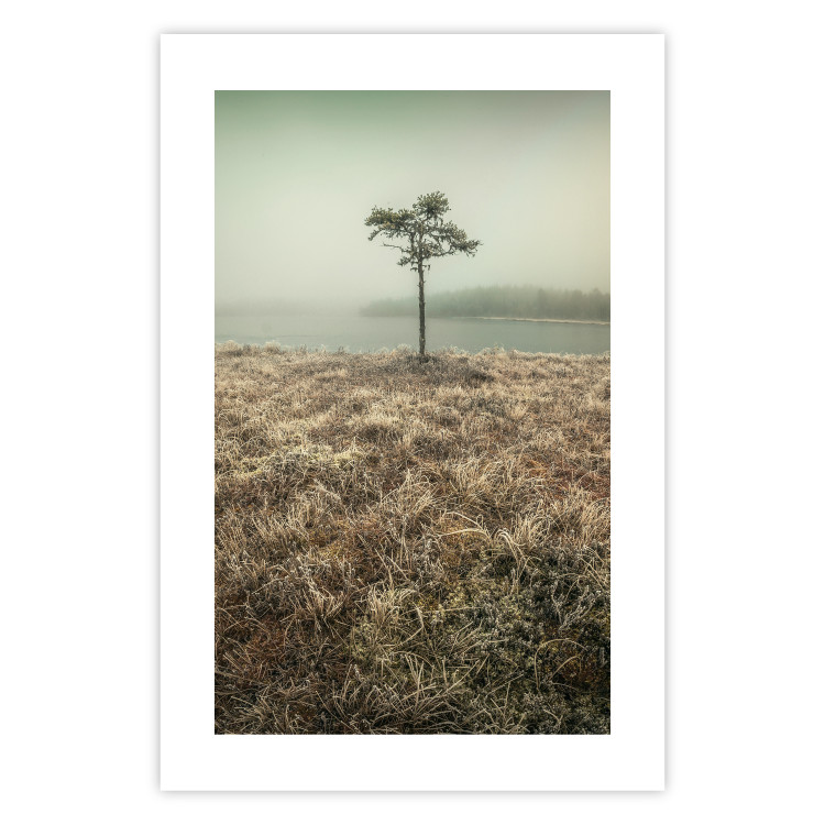 Poster Along the Lake Shore - landscape of grass and a small tree against the water 130388 additionalImage 19