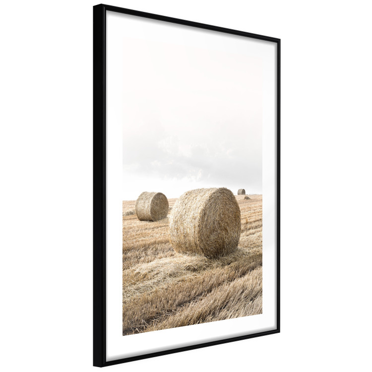 Wall Poster Haystack - rural landscape overlooking brown fields during harvest 137688 additionalImage 4