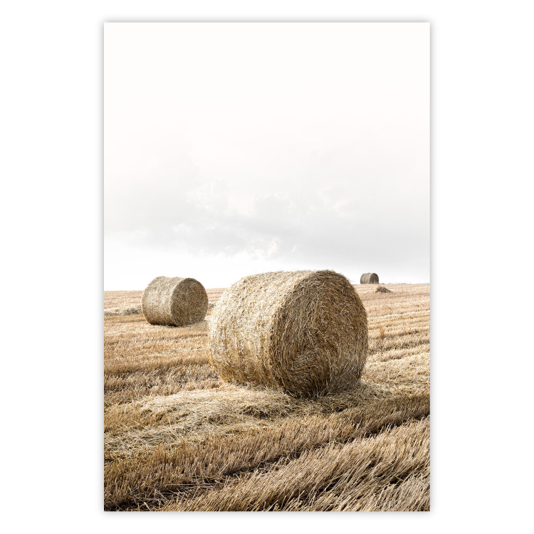 Wall Poster Haystack - rural landscape overlooking brown fields during harvest 137688