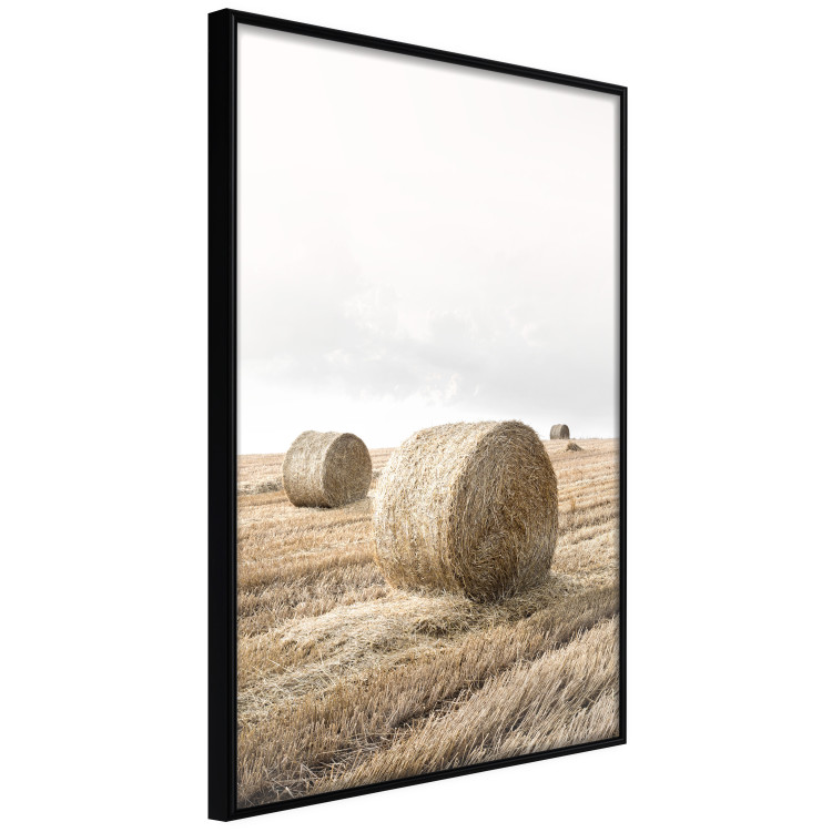 Wall Poster Haystack - rural landscape overlooking brown fields during harvest 137688 additionalImage 2