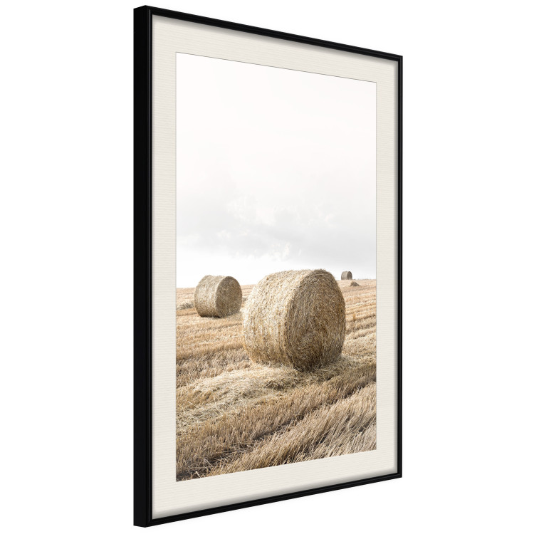 Wall Poster Haystack - rural landscape overlooking brown fields during harvest 137688 additionalImage 10