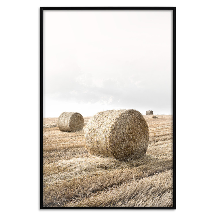 Wall Poster Haystack - rural landscape overlooking brown fields during harvest 137688 additionalImage 12