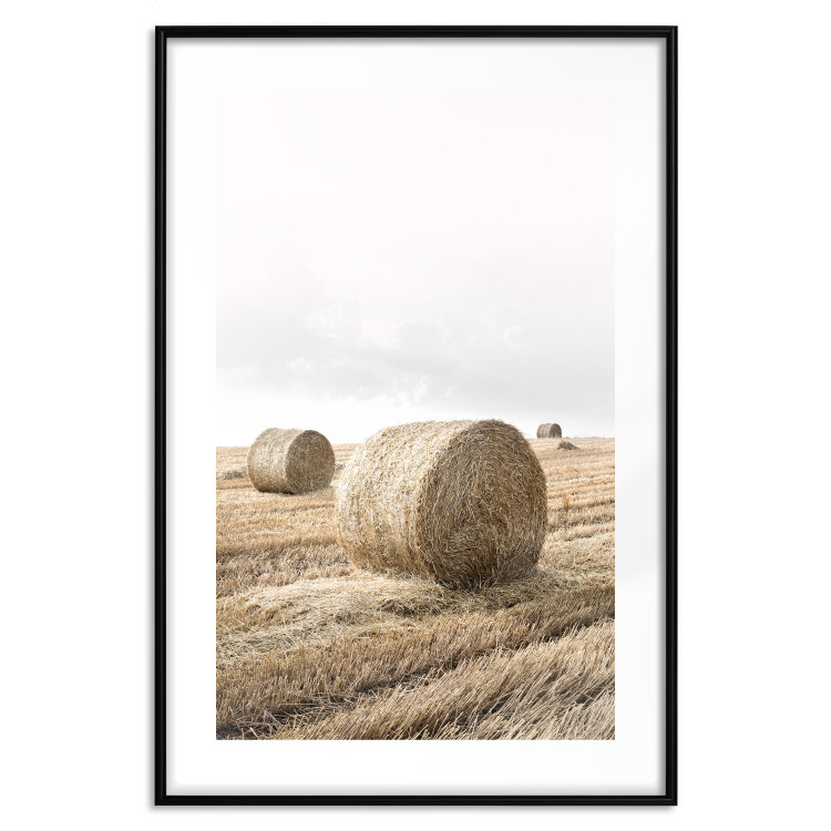 Wall Poster Haystack - rural landscape overlooking brown fields during harvest 137688 additionalImage 14