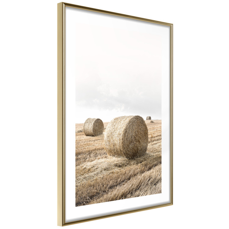 Wall Poster Haystack - rural landscape overlooking brown fields during harvest 137688 additionalImage 5