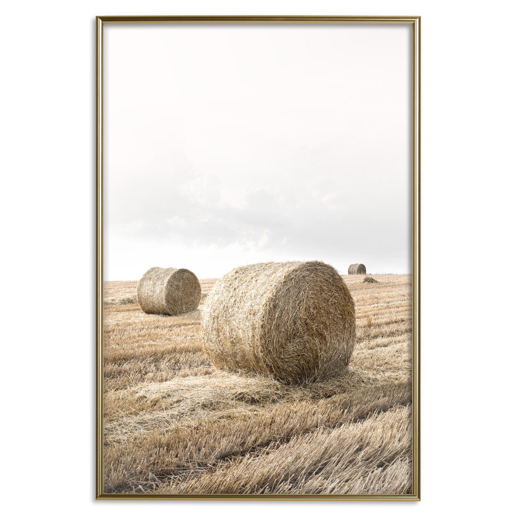 Wall Poster Haystack - rural landscape overlooking brown fields during harvest 137688 additionalImage 11