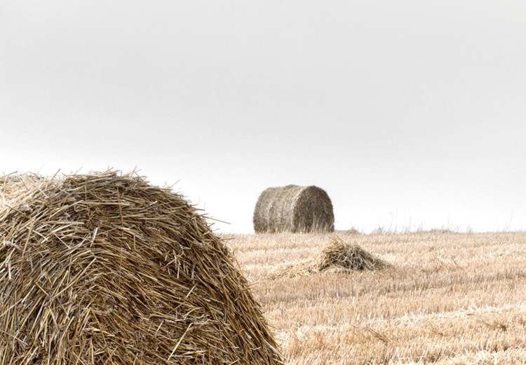 Wall Poster Haystack - rural landscape overlooking brown fields during harvest 137688 additionalImage 6