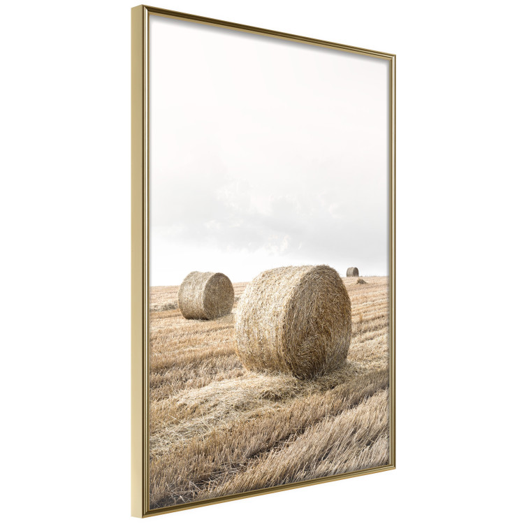 Wall Poster Haystack - rural landscape overlooking brown fields during harvest 137688 additionalImage 3