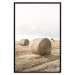 Wall Poster Haystack - rural landscape overlooking brown fields during harvest 137688 additionalThumb 12